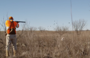 texas bird hunting